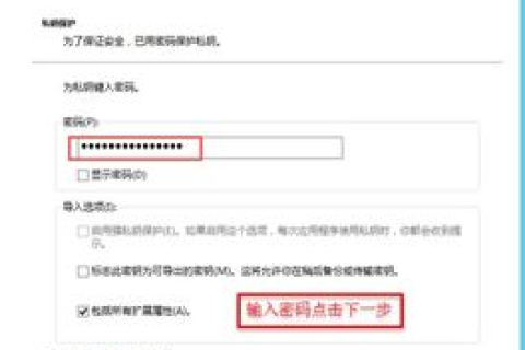 阿里云CDN如何解析域名，从配置到优化的全面指南
