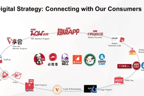百胜网络官网，携手共创未来，领跑数字化时代