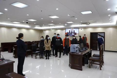 数字化时代的桥梁，166数据互联官网重塑高效信息交互