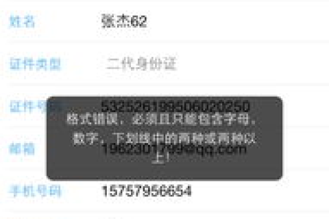域名格式错误是怎么回事？急！