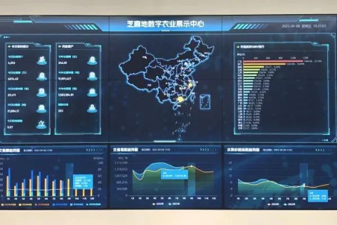 东莞数据官网，信息时代的城市智慧门户