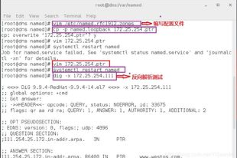 域名没有备案怎样去除DNS解析