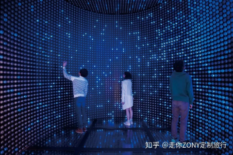探秘西数空间，解锁未来数字世界的奥秘