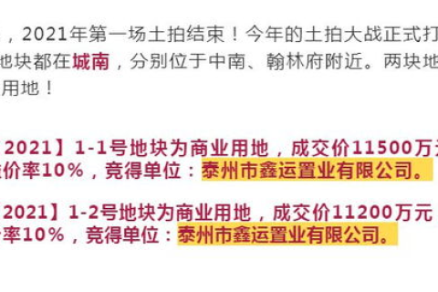 急域名抢注问题，法律、伦理与商业的灰色地带