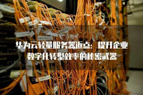 华夏云主机官网，打造高效云端服务，引领企业数字化转型新篇章