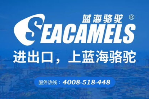 蓝科互联，互联网时代的信息化解决方案领军者