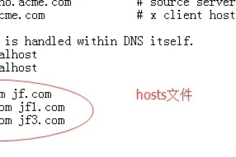 如何绕过Host文件设置DNS以访问特定网站域名