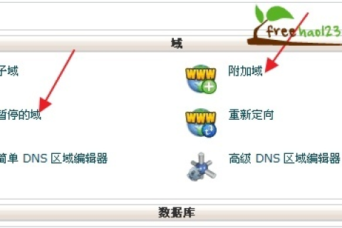 更换主域名后的DNS解析，全面指南与注意事项