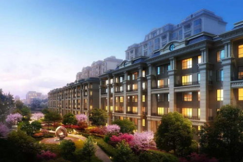 域名解析中的可用什么代替探索