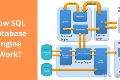 带数据库的PHP空间与MySQL数据库，构建高效Web应用的基石