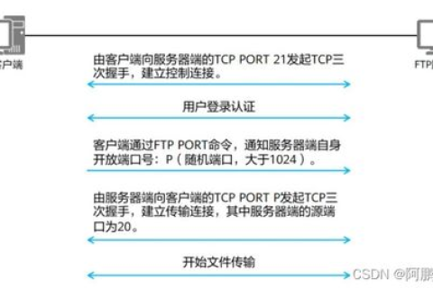 探索免费域名之路，为何选择花生壳域名，并探讨其优势与限制