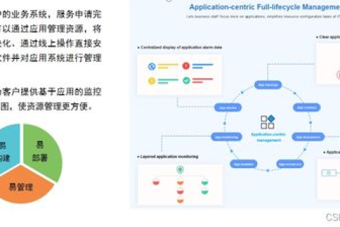华为云服务器网络推广策略，打造高效品牌与提升市场影响力