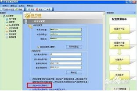 金万维动态域名与花生壳动态域名，性能、稳定性与用户体验的深度对比