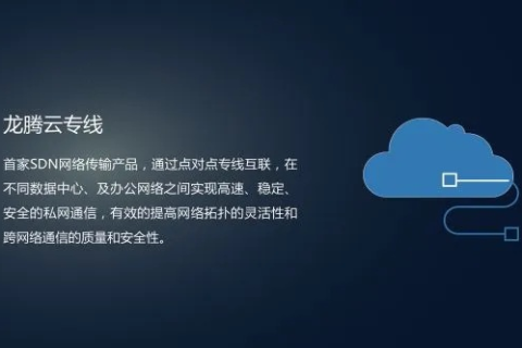 探索龙腾云的稳定性与未来发展前景
