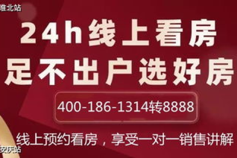 深度解析，群英网络稳定性及性能评测