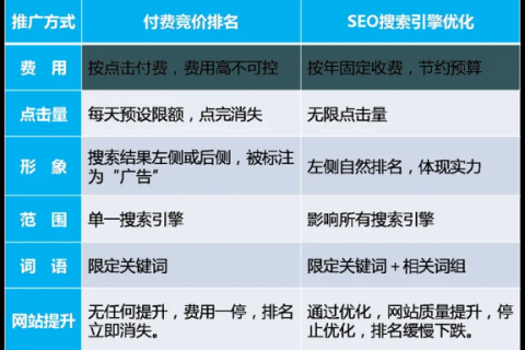 多设备兼容下的软件优化策略，选择老域名与新域名的考量