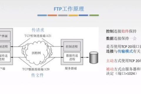 DHCP服务器，网络中的域名解析服务提供者
