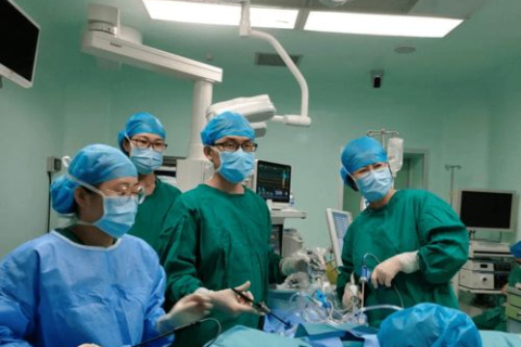 AMH稳定性解析，来自生殖医学领域的探究