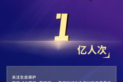 网硕互联，稳定基石下的数字时代新篇章
