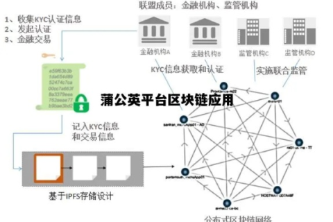 蒲公英网络，稳定性考察与实际应用体验