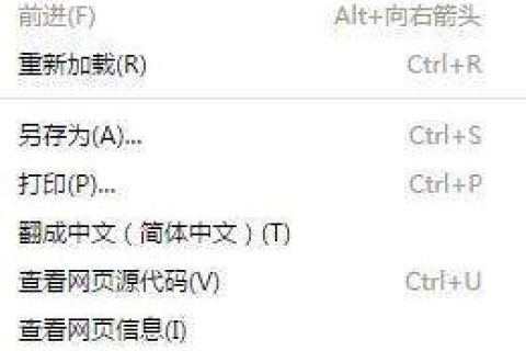 双域名的并行运营，如何有效管理不同空间中的相同程序源码