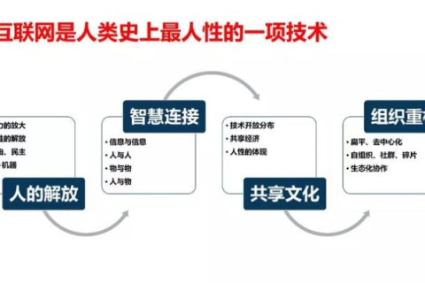 人文网，构建网络社会的稳定基石