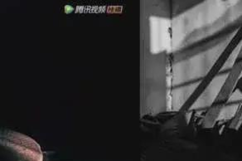 从零到一，打造电影下载网站的全面指南
