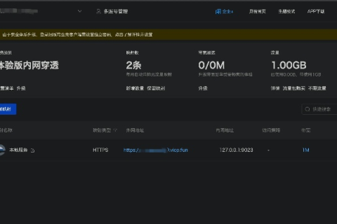 易网主机稳定性探讨，全面解析与实战评测