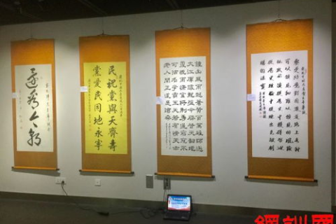 不忘初心稳中求进—曼曼科技发展的稳健步伐