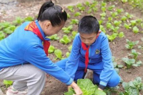 免费空间哪家最好？深度剖析免费托管服务市场