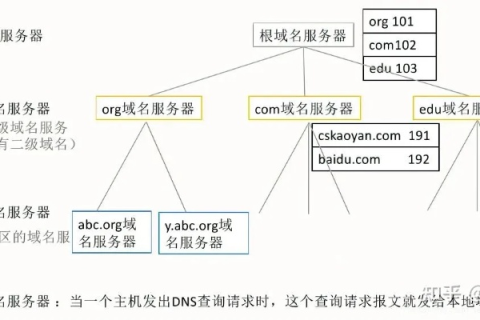 域名服务器分类详解，从基础到进阶