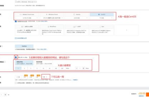 VP面板绑定域名的详细步骤与注意事项