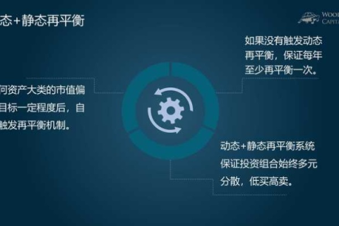 动感互联，探索稳定与动态平衡的奥秘