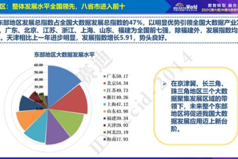 中国商务网的稳定性，评估与现实考量