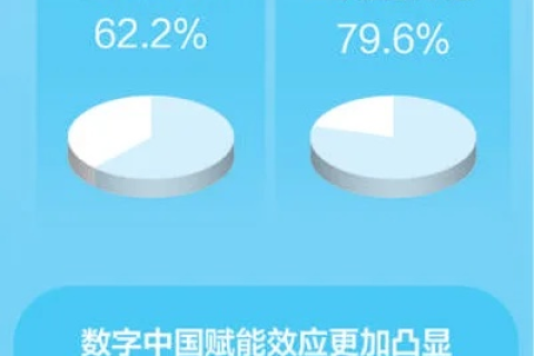 国家数据稳定性，保障数字经济健康发展的基石