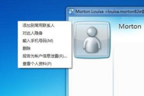 如何将MSN绑定其他域名的邮箱，详细步骤与注意事项