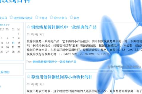 域名与网站，概念解析与区别探讨