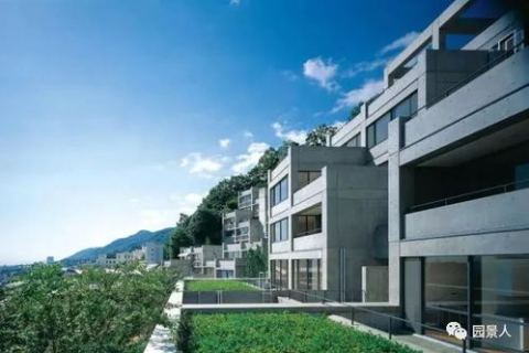 韩美合租，探索跨文化居住的稳定之道