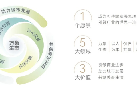 商易世纪，稳健前行，探索企业的稳定性与可持续发展策略