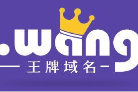 域名，未来网站的数字门牌号