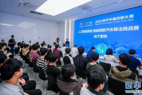 网联中国，稳定发展的创新与挑战