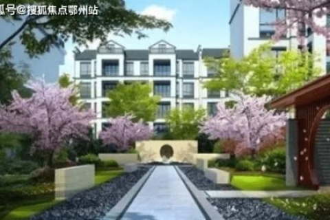 海月网络稳定性深度解析