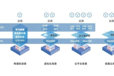 小鸟云虚拟主机，性能、稳定性与用户体验的深度剖析