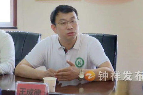 免费的域名带空间，打造个人品牌与网站的完美起点