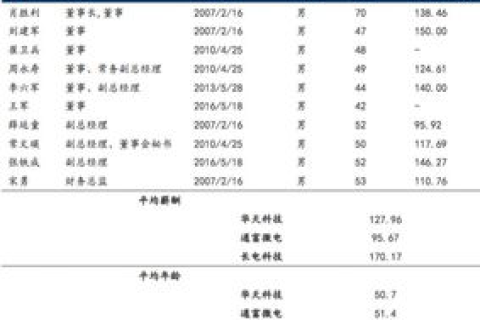 华炎创新的稳定性，从战略定位到长期发展的思考