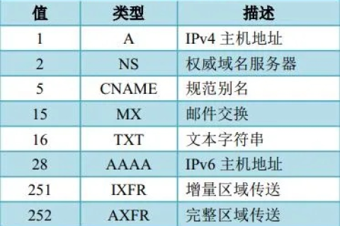 域名解析与网站浏览，揭秘背后的协议与数据包