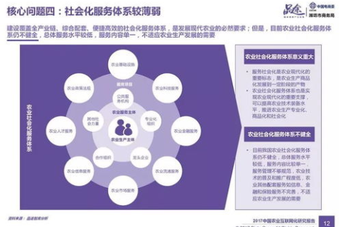 全面解析龙彩互联平台的稳定性与可靠性