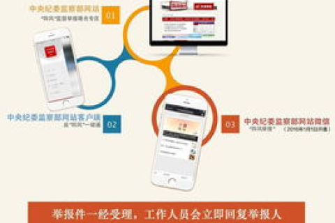 中国万维在线的稳定性分析，技术、运维与用户评价的综合探究