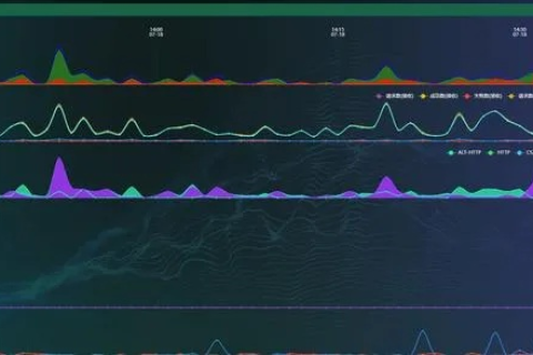 活力网络，稳定性与动态平衡的交响曲