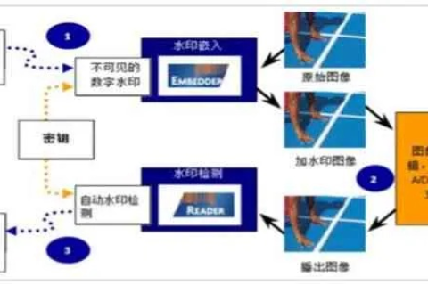 探讨久印网络稳定性，技术创新与用户体验的双向驱动